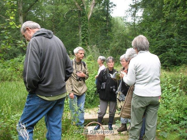 2007 08 Mare aux canes 08